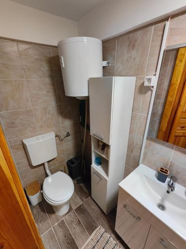 La petite salle de bains est pourvue de toilettes et d'un lavabo. dans l'établissement Apartma Sveti Martin, 