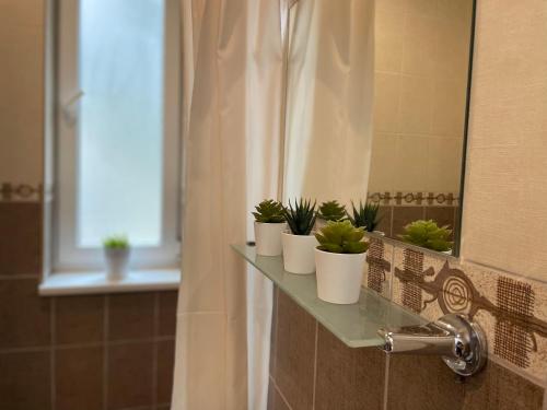 a bathroom with a shelf with potted plants on it at Hotel Rojas Pērle in Roja