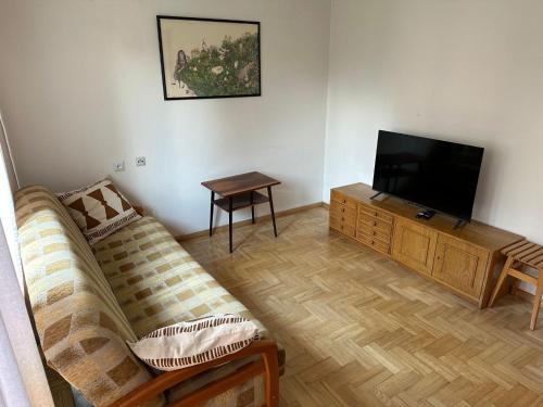 TV a/nebo společenská místnost v ubytování Przestronny apartament w centrum miasta - Mszana M11