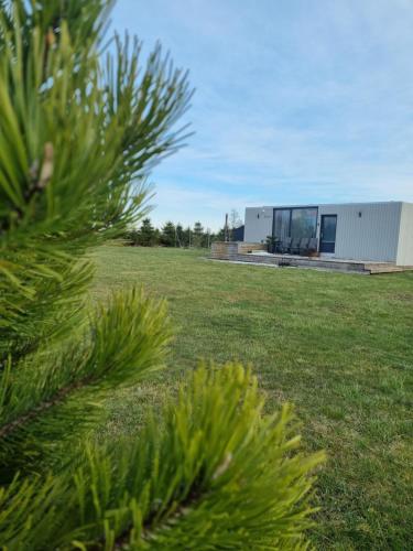 a pine tree in front of a building at Cozy Hut with the included Hot Tub-Prime Rentals in Karališkiai