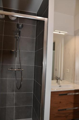 une salle de bain avec douche et lavabo dans l'établissement View Point Forest - OG IMMO, à Annecy