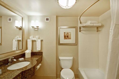 a bathroom with a toilet and a sink and a mirror at Hilton Garden Inn Ridgefield Park in Ridgefield Park