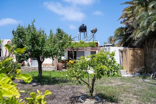 Fotografie z fotogalerie ubytování Finikas House v destinaci Palekastro
