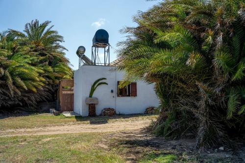 Fotografie z fotogalerie ubytování Finikas House v destinaci Palekastro