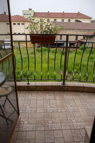 a balcony with a potted plant on a fence at Апартамент Щерев in Kazanlŭk