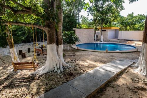 a swimming pool in a yard with trees and a swing at R Las chulas in Puerto Morelos