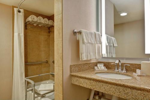 Hilton Garden Inn Orlando Lake Buena Vista Image