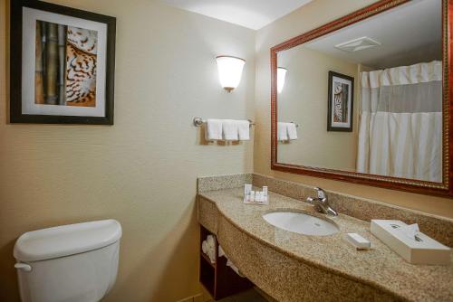 een badkamer met een toilet, een wastafel en een spiegel bij Hilton Garden Inn Kankakee in Kankakee