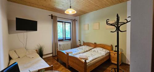 1 dormitorio con 1 cama, TV y sofá en U Certa en Čerčany