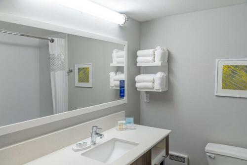 La salle de bains est pourvue d'un lavabo et d'un miroir. dans l'établissement Hampton Inn Kansas City-Lee's Summit, à Lee's Summit