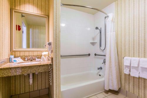La salle de bains est pourvue d'une baignoire, d'un lavabo et d'une douche. dans l'établissement Hilton Garden Inn Milwaukee Northwest Conference Center, à Milwaukee