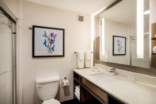 een badkamer met een toilet, een wastafel en een spiegel bij Hilton Garden Inn Nashville Smyrna in Smyrna