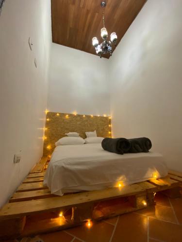 a bedroom with a bed with lights on it at banana hostel in Bogotá