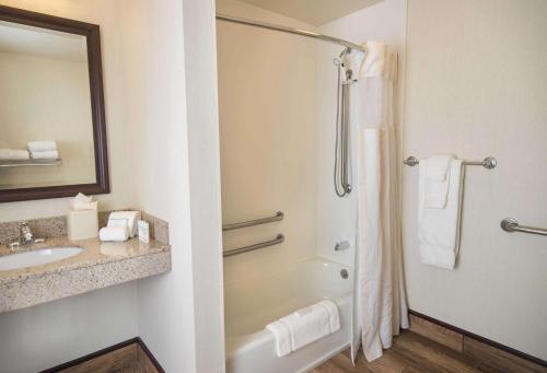 ein Bad mit einer Dusche und einem Waschbecken in der Unterkunft Hilton Garden Inn Wisconsin Dells in Wisconsin Dells