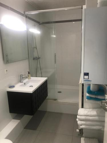 サン・ジャン・ド・リュズにあるPort nivelle IBAIANの白いバスルーム(シンク、シャワー付)