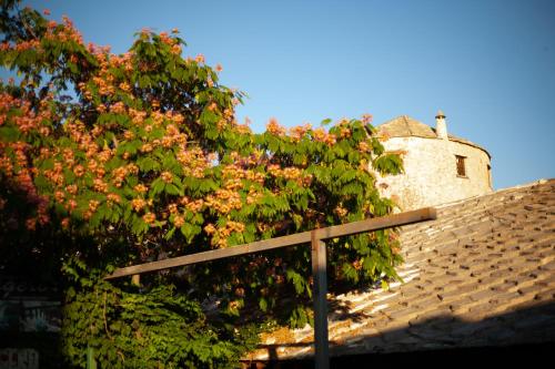 a tree with flowers on the roof of a building at Apartments Azra in Mostar