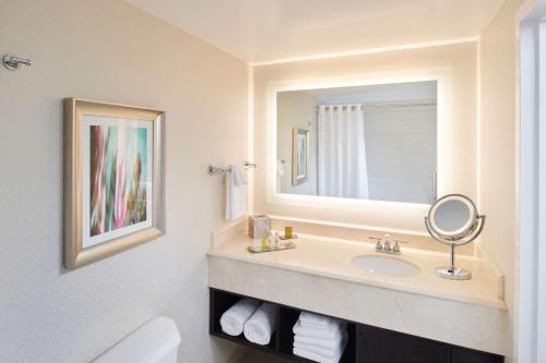 La salle de bains est pourvue d'un lavabo et d'un miroir. dans l'établissement DoubleTree by Hilton Irvine Spectrum, à Irvine