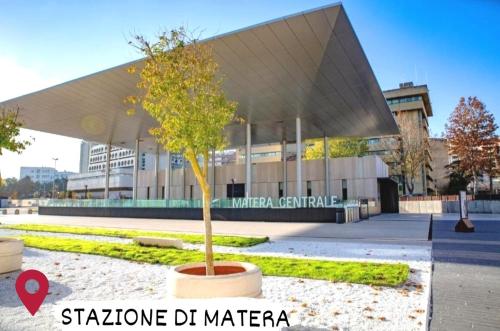 a tree in a pot in front of a building at DIMORA HELIANTHUS in Salandra