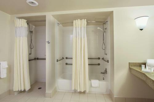 Hilton Garden Inn Chesapeake Greenbrier في تشيسابيك: حمام مع حوض استحمام ودش مع ستارة الدوش
