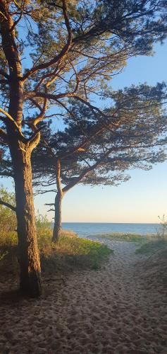 Prie Jūros Papėje, Baltija