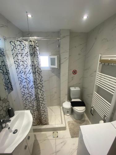 ein Bad mit einem Waschbecken, einem WC und einer Dusche in der Unterkunft Cozy apartment with two bedrooms with a sea view in Peraia