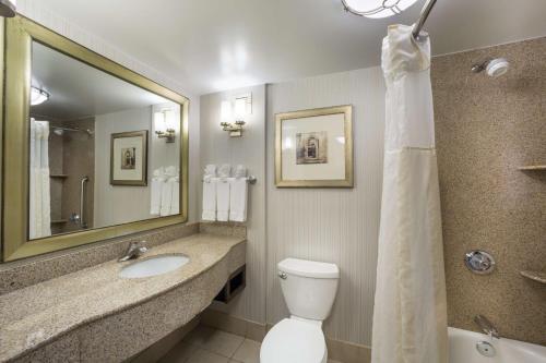 a bathroom with a toilet and a sink and a mirror at Hilton Garden Inn Hampton Coliseum Central in Hampton