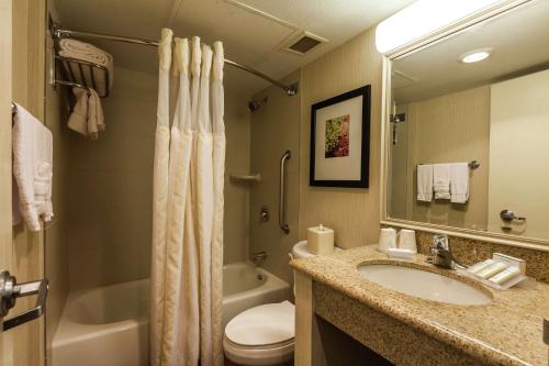 ein Badezimmer mit einem Waschbecken, einem WC und einem Spiegel in der Unterkunft Hilton Garden Inn Phoenix Midtown in Phoenix