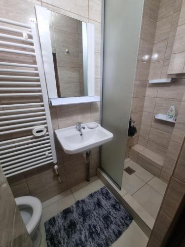 uma casa de banho com um lavatório, um chuveiro e um WC. em Apartament central em Piteşti
