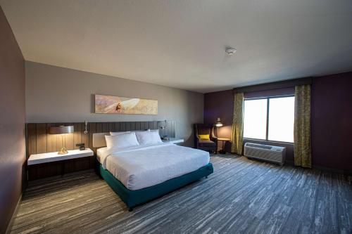 a hotel room with a bed and a window at Hilton Garden Inn Rapid City in Rapid City