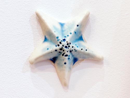 a blue and white starfish hanging on a wall at Hostal Perla Blanca Altea in Altea