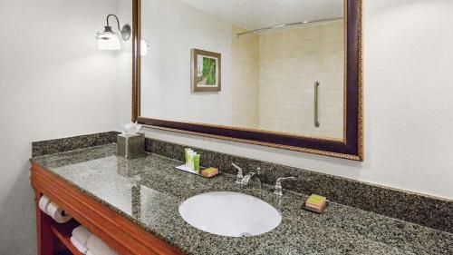 uma casa de banho com um lavatório e um espelho em DoubleTree by Hilton Raleigh Durham Airport at Research Triangle Park em Durham