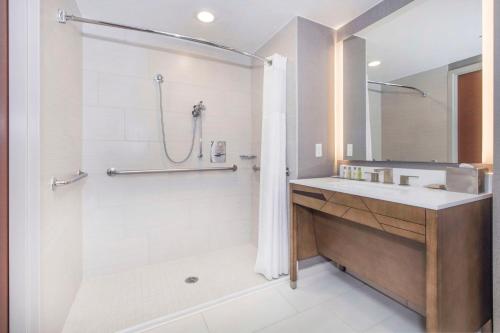 y baño con ducha, lavabo y bañera. en DoubleTree by Hilton Raleigh-Cary, en Cary