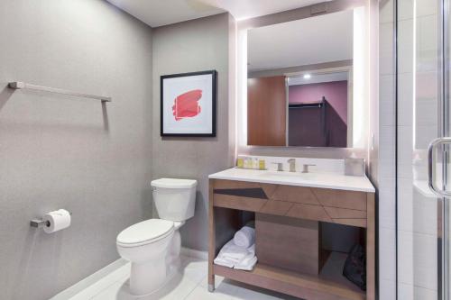 a bathroom with a toilet and a sink and a mirror at DoubleTree by Hilton Raleigh-Cary in Cary