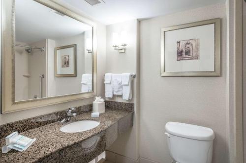 a bathroom with a toilet and a sink and a mirror at Hilton Garden Inn Richmond Airport in Sandston
