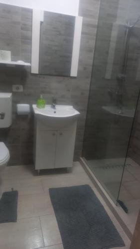 ein Bad mit einem Waschbecken, einer Dusche und einem WC in der Unterkunft Casandra in Mamaia Nord – Năvodari