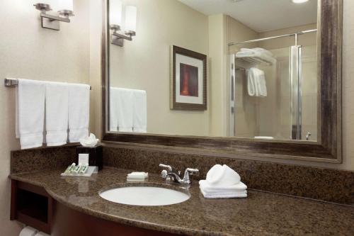 a bathroom with a sink and a mirror at Hilton Garden Inn New Braunfels in New Braunfels