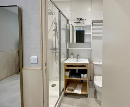 une salle de bain avec une douche, un lavabo et des toilettes dans l'établissement Tang Home Apartment, à Bordeaux