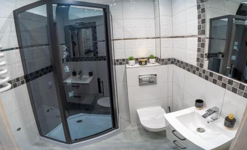a bathroom with a shower and a toilet and a sink at Szafirowe Oczko in Karpacz