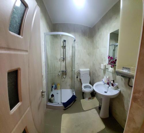 La salle de bains est pourvue d'une douche, de toilettes et d'un lavabo. dans l'établissement La Rosa, à Dubova