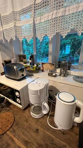 une cuisine avec un comptoir, un mixeur et un four micro-ondes dans l'établissement Padaste Rehemae Puhkemaja, à Pädaste