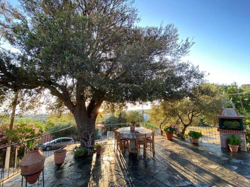 Fotografie z fotogalerie ubytování Villa Aggeliki Manoloudi v destinaci Xiropótamos