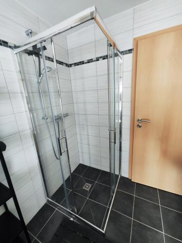 a shower with a glass door in a bathroom at private Ferienwohnung Senftenberg in Sedlitz