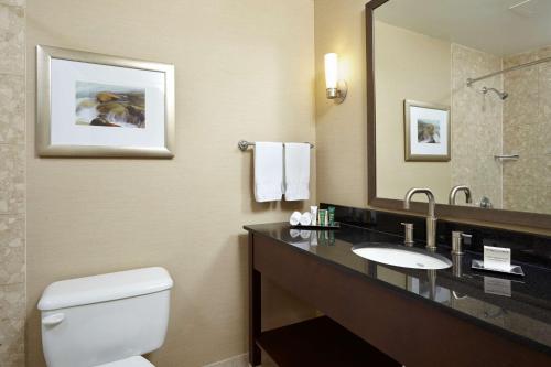 a bathroom with a toilet and a sink and a mirror at Hilton Saint John in Saint John