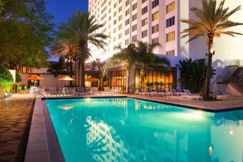 a swimming pool in front of a hotel at Hilton St. Petersburg Bayfront in St. Petersburg