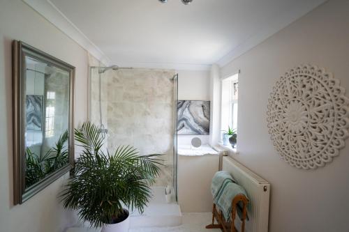 a bathroom with a shower with a plant in it at Driftwood by the Sea in Brighton & Hove