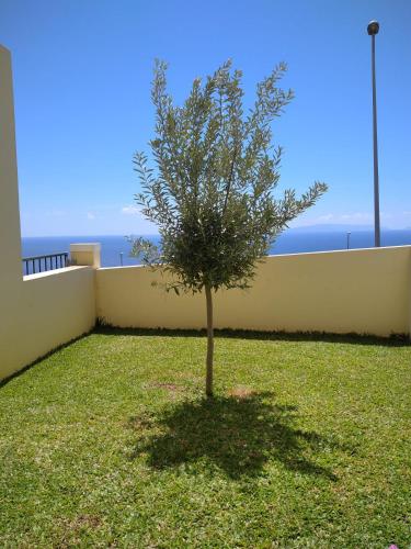 un pequeño árbol en medio de un patio en Sun Hill Apartment, en Santa Cruz
