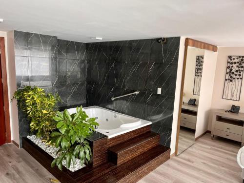 a bathroom with a bath tub with plants in it at Hotel Ambato in Ambato
