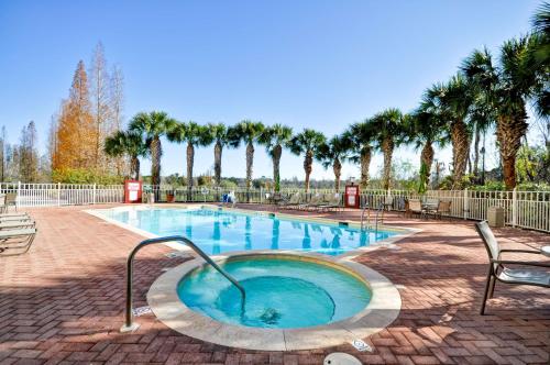 a swimming pool with palm trees in the background at Hilton Garden Inn Tampa North in Tampa