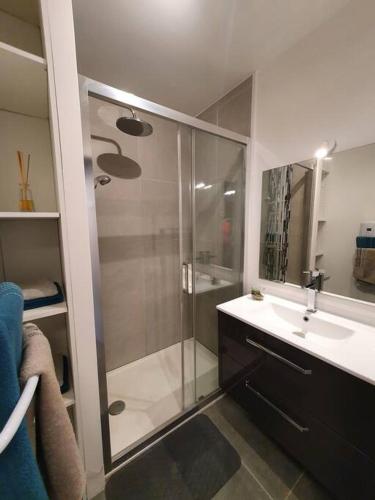 une salle de bain avec douche et lavabo dans l'établissement APPARTEMENT CENTRE VILLE AU CALME JARDIN et PARKING PUBLIC, à La Rochelle
