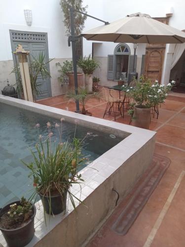 Bazén v ubytování Riad le Jardin de Mina nebo v jeho okolí